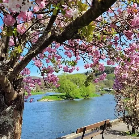 Camping Safaritent Op Camping La Douane *