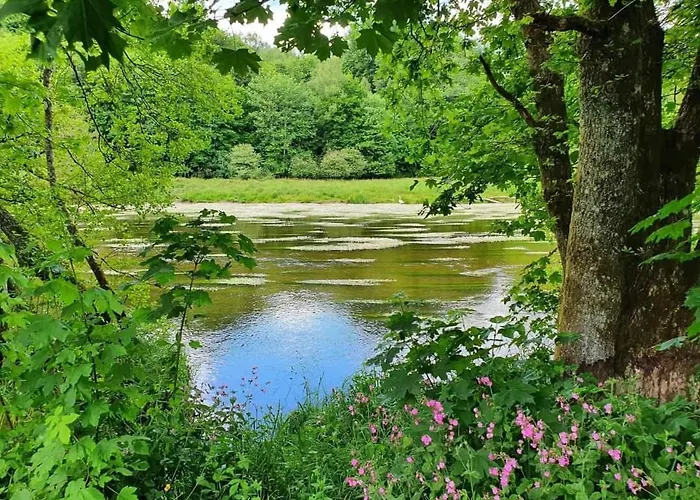 キャンプ場 Safaritent Op Camping La Douane *