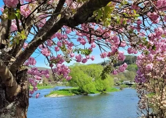 Camping Safaritent Op Camping La Douane *